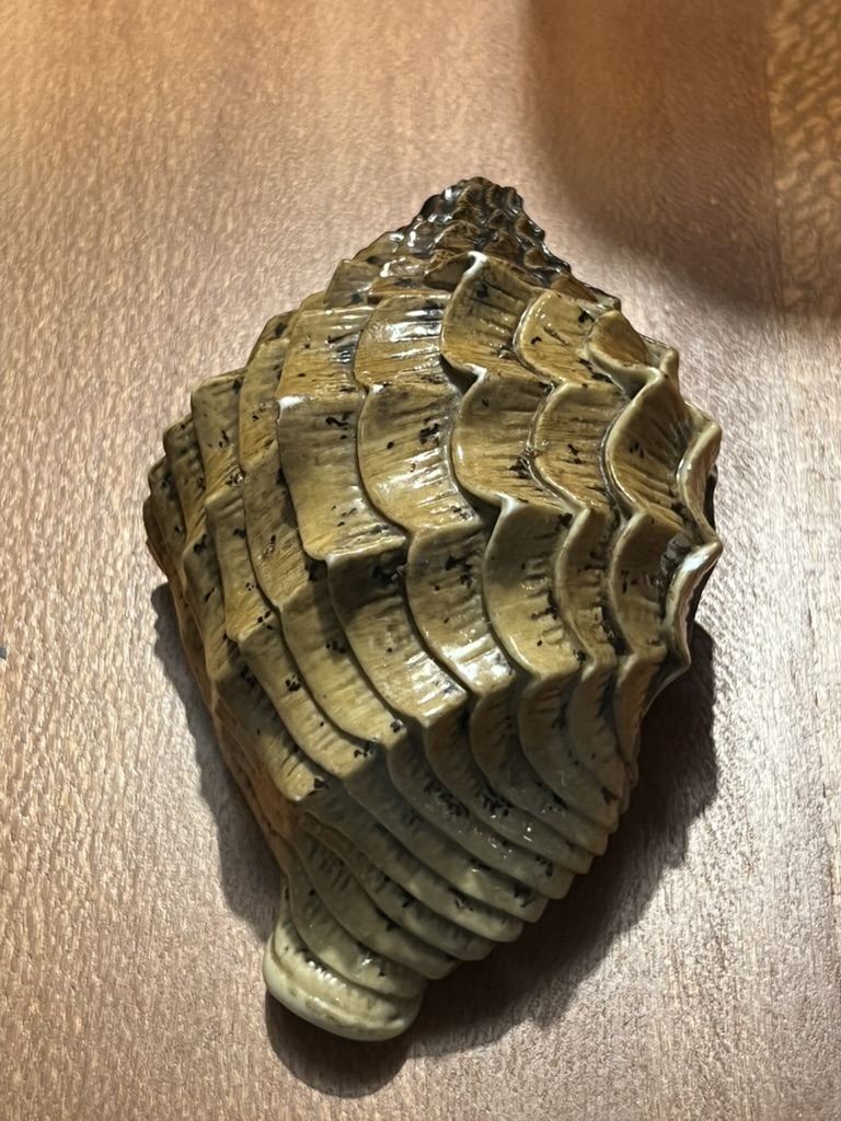 caracol de cerámica